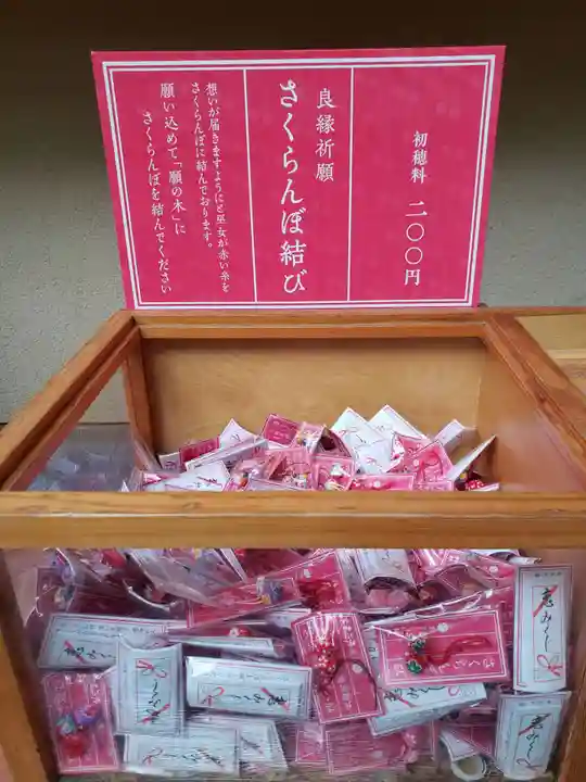 赤坂氷川神社(東京都)