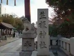 生根神社の狛犬