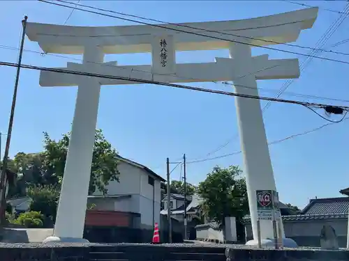 椿八幡宮の鳥居