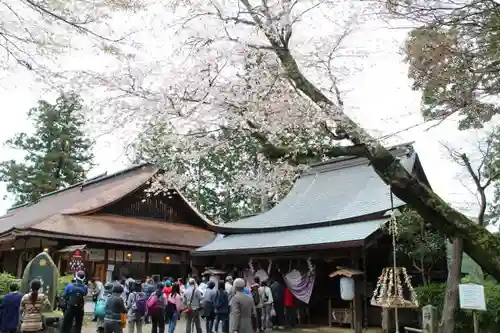 吉水神社の建物その他