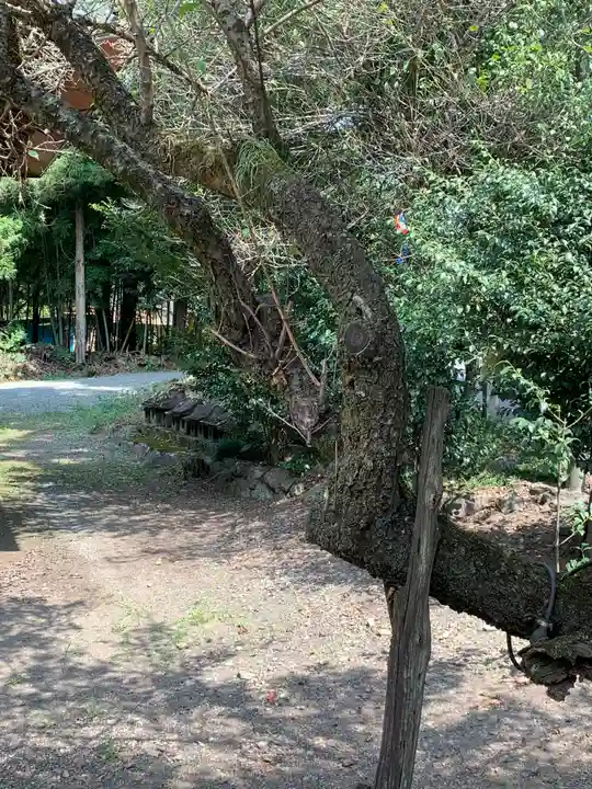 菅原神社の庭園
