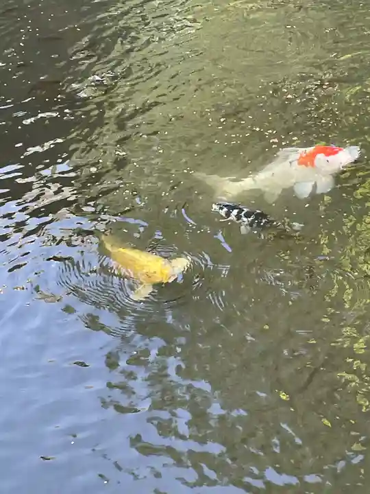 松尾寺(京都府)