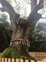 熱田神宮の自然