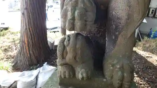 日吉神社の狛犬