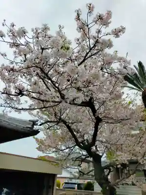 法薬寺(大阪府)