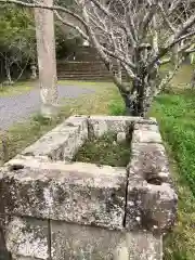 精矛神社の建物その他