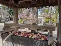 鳩森八幡神社(東京都)