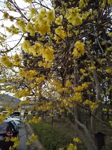 沙沙貴神社の自然