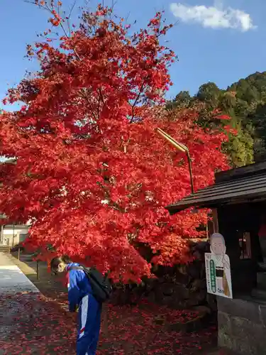 慈恩護国禅寺の自然