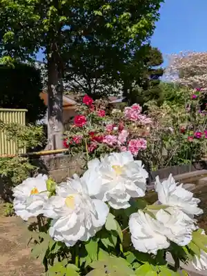 禅定院(東京都)
