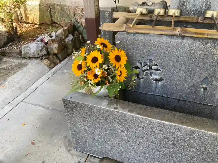 禅師峰寺(高知県)