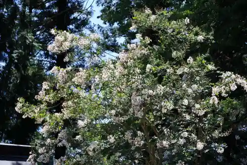 田村神社の自然