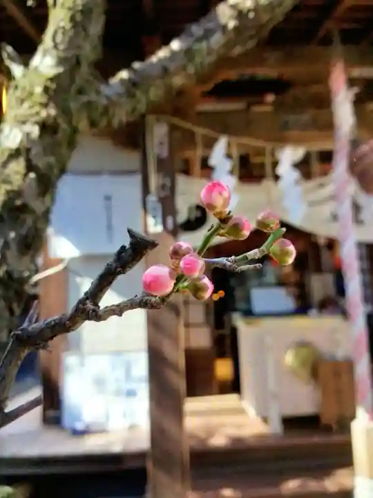 四谷於岩稲荷田宮神社(東京都)