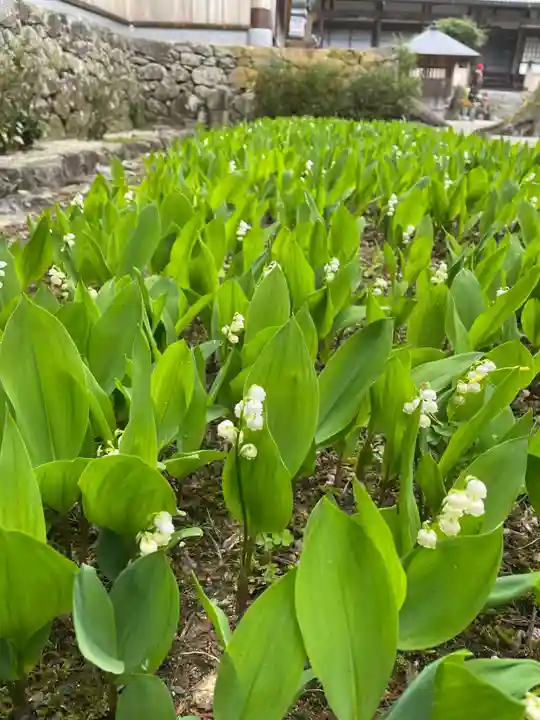 永澤寺(兵庫県)