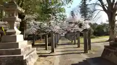 出石神社の自然