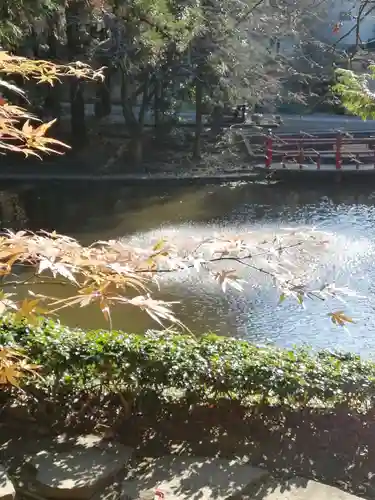 間々田八幡宮の庭園