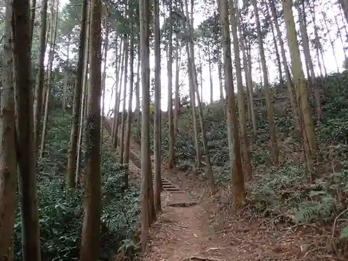 武蔵二宮 金鑚神社の周辺
