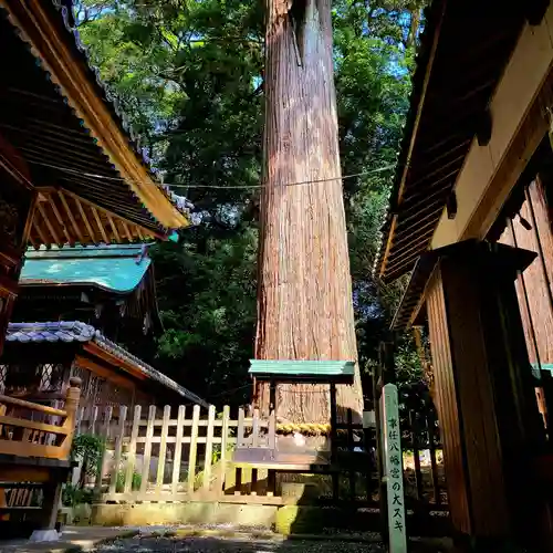 事任八幡宮(静岡県)