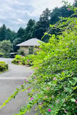 塩船観音寺のその他建物