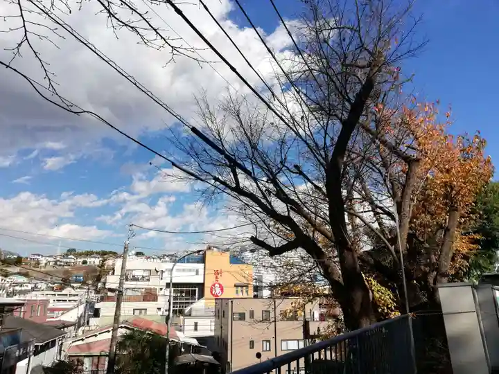 藏王高根神社の景色