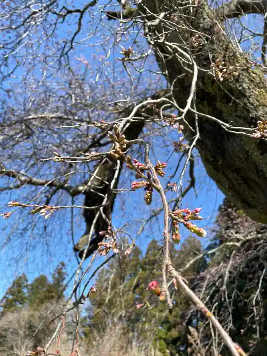 北野神社(福島県)
