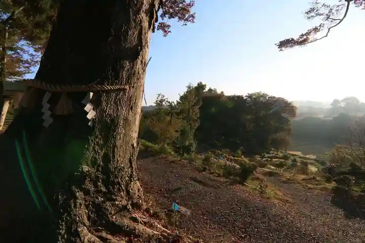 阿久津「田村神社」(郡山市阿久津町)旧社名:伊豆箱根三嶋三社の景色
