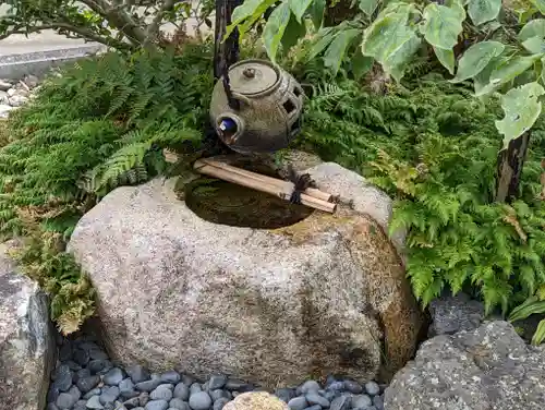 龍雲寺（桃山善光寺）(京都府)