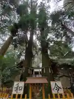高千穂神社の自然