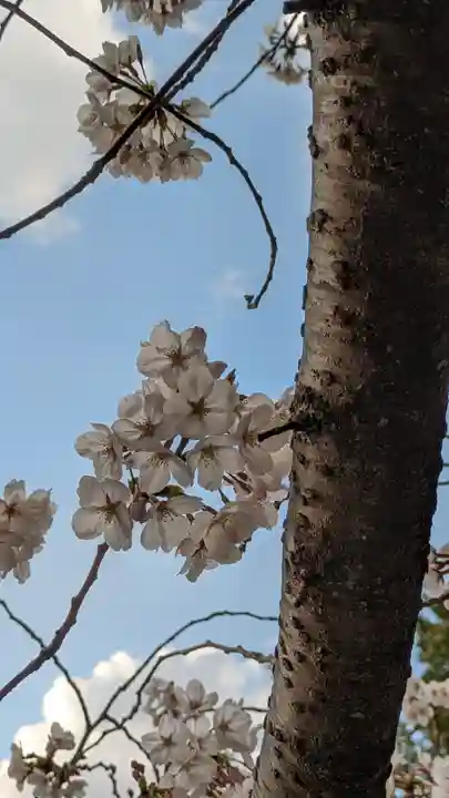 知恩院(京都府)