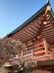 福寿院の建物その他