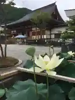 瑞圭山 浄国寺の自然