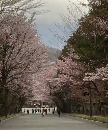 北海道神宮の景色