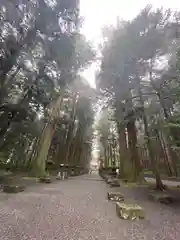 北口本宮冨士浅間神社(山梨県)