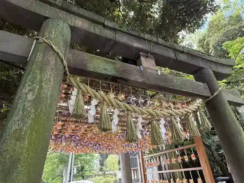 川越氷川神社(埼玉県)