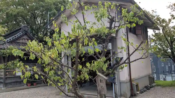 高岡関野神社の自然