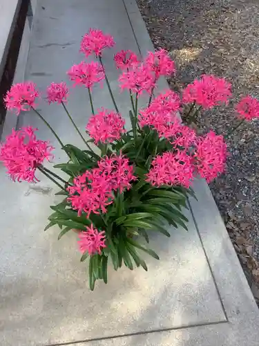 清洲山王宮　日吉神社の自然