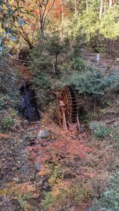 玉野御嶽神社の自然