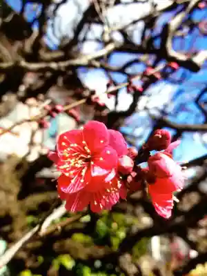 長善寺(東京都)