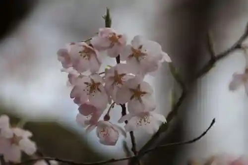 神炊館神社 ⁂奥州須賀川総鎮守⁂の庭園