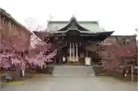 桜神宮の本殿・本堂