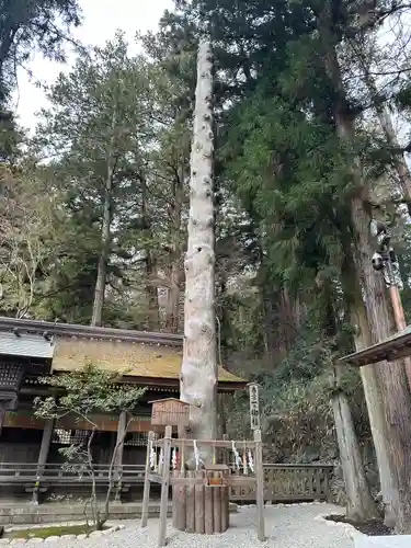 諏訪大社下社春宮(長野県)