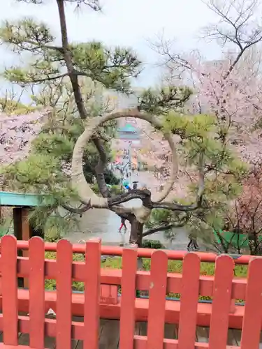 清水観音堂の庭園