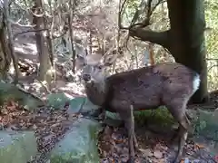 御山神社(厳島神社奧宮)(広島県)