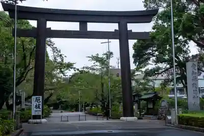愛知縣護國神社の鳥居