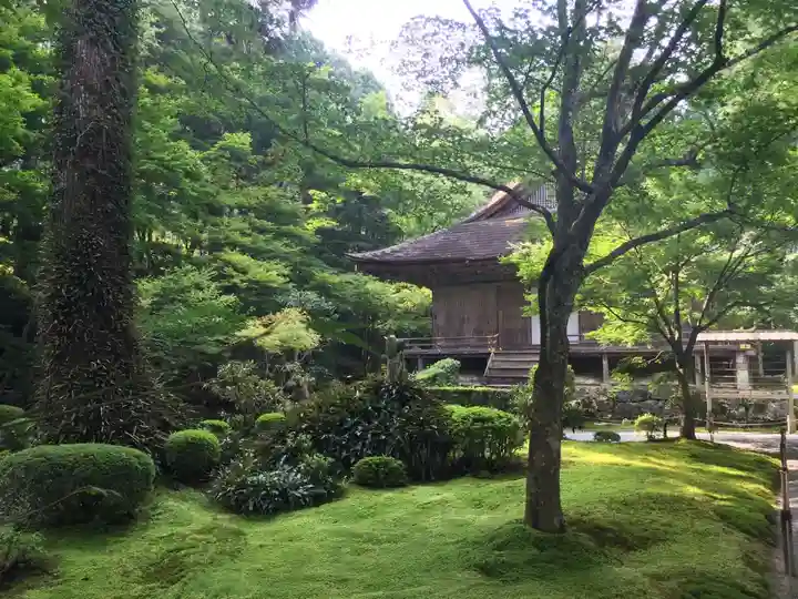 三千院門跡の庭園
