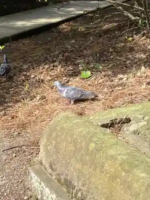日御碕神社(島根県)