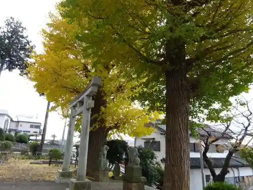 弥生神社(神奈川県)