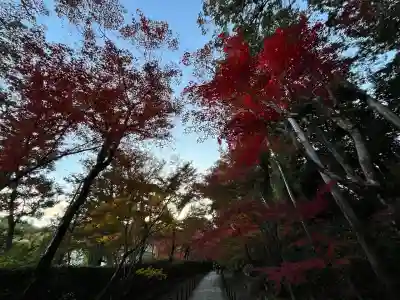 光明寺（粟生光明寺）(京都府)