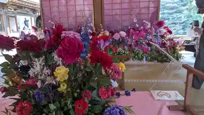 隨心院(随心院)(京都府)