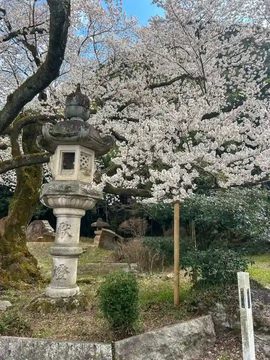 岐阜護國神社の{uncategorized: "未分類", other: "その他", undefined: "問題あり", building: "その他建物", grave: "お墓", sacred_gate: "鳥居", guardian: "狛犬", statue: "像", buddha: "仏像", history: "歴史", nature: "自然", garden: "庭園", animal: "動物", pagoda: "塔", temizu: "手水舎", mountain_gate: "山門・神門", sanctuary: "本殿・本堂", subordinate: "末社・摂社", art: "芸術", scenery: "景色", jizo: "地蔵", ema: "絵馬", goshuin: "御朱印", omikuji: "おみくじ", items: "授与品その他", amulet: "お守り", goshuincho: "御朱印帳", eats: "食事", festival: "お祭り", votive_dance: "神楽", shichigosan: "七五三参", wedding: "結婚式", experience: "体験その他", initially: "初詣", around: "周辺", anti_infection: "感染症対策"}